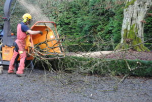 Broyage des branches. Utilisation en paillage.